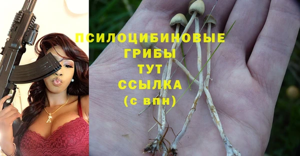 бутират Аркадак